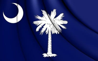What Types of Auto Insurance Are Required in South Carolina?